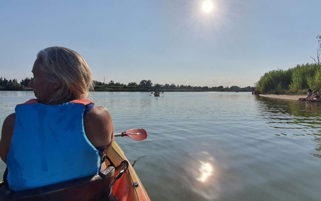 A por el último trimestre del año